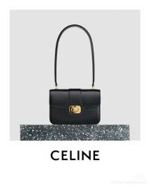 Picture of Celine Handbags _SKUfw225666569fw